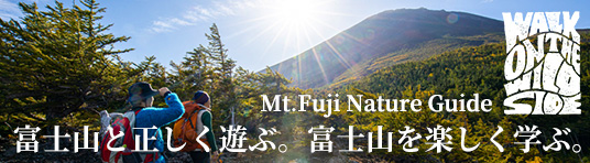 富士山 ネイチャーガイド 自然アウトドアガイド