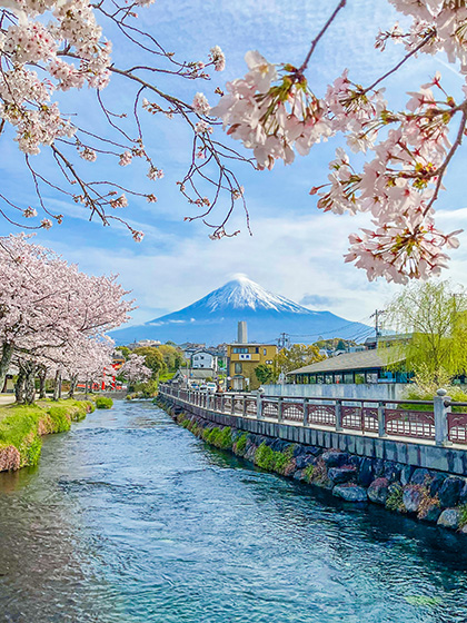 受賞写真