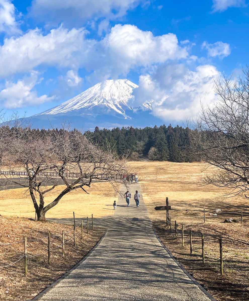 道の駅 朝霧高原