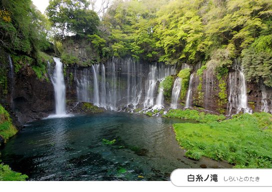 富士宮市観光協会 » 白糸ノ滝 (白糸の滝・音止の滝)