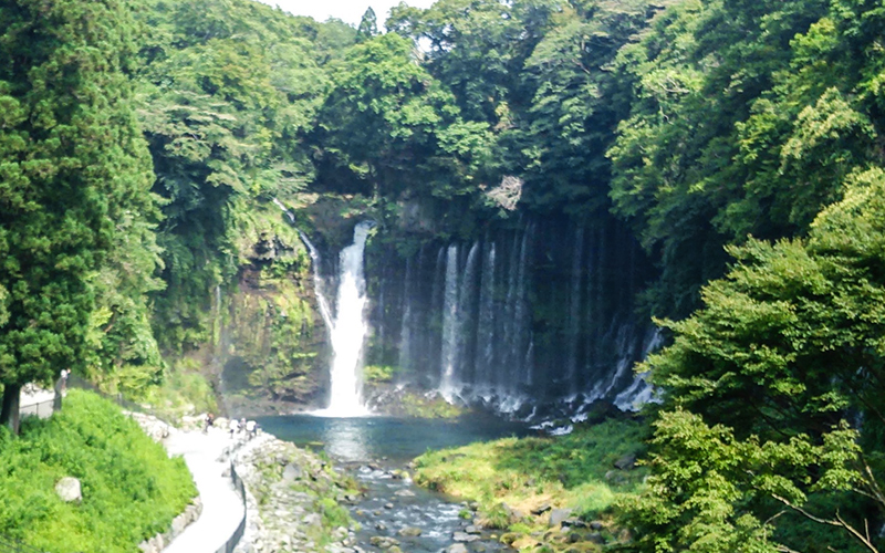 富士宮市観光協会 白糸ノ滝 白糸の滝 音止の滝