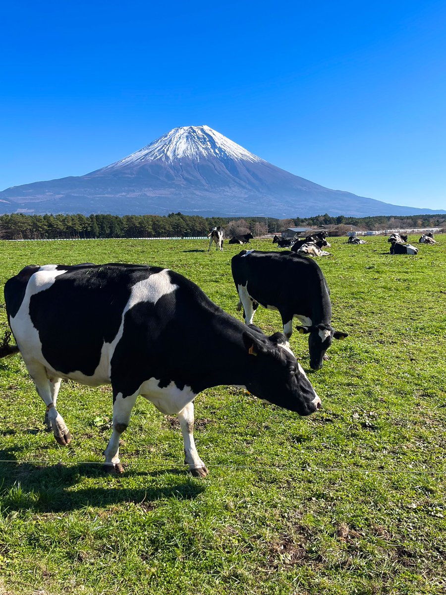朝霧さわやかパーキング
