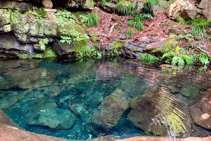 お鬢水（白糸の滝）
