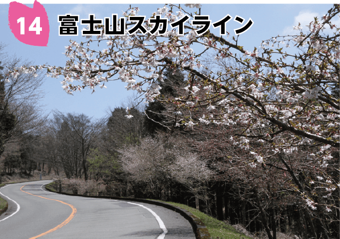 富士山スカイライン