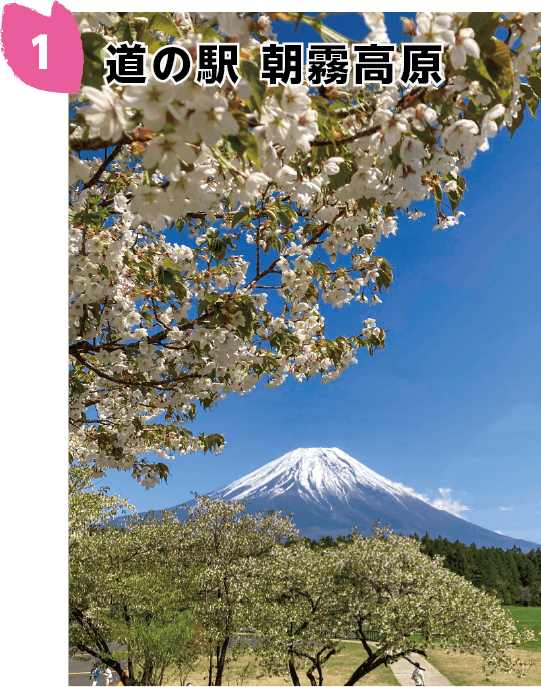 富士宮市観光協会 » 富士山と桜の撮影スポット 富士宮桜名所マップ